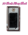 10 LASH TRAY DEAL