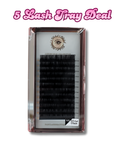 5 LASH TRAY DEAL